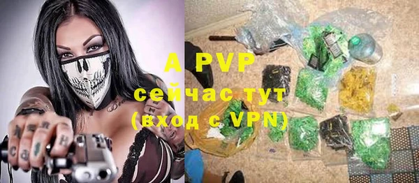 молекула духа Верхний Тагил