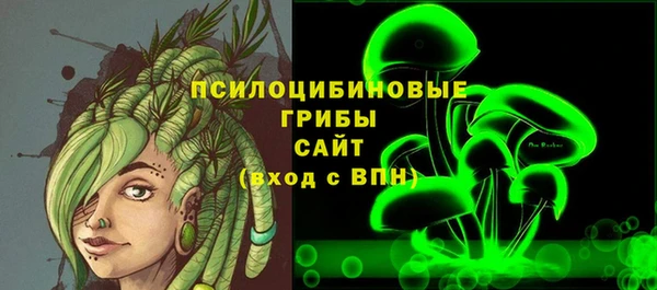 молекула духа Верхний Тагил