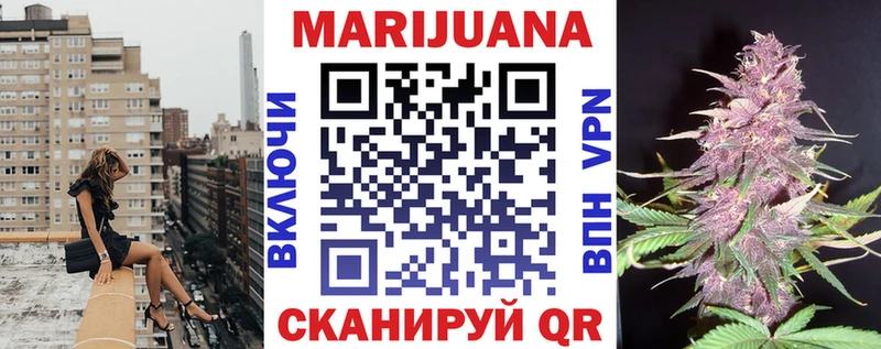 Конопля марихуана  Ессентукская 